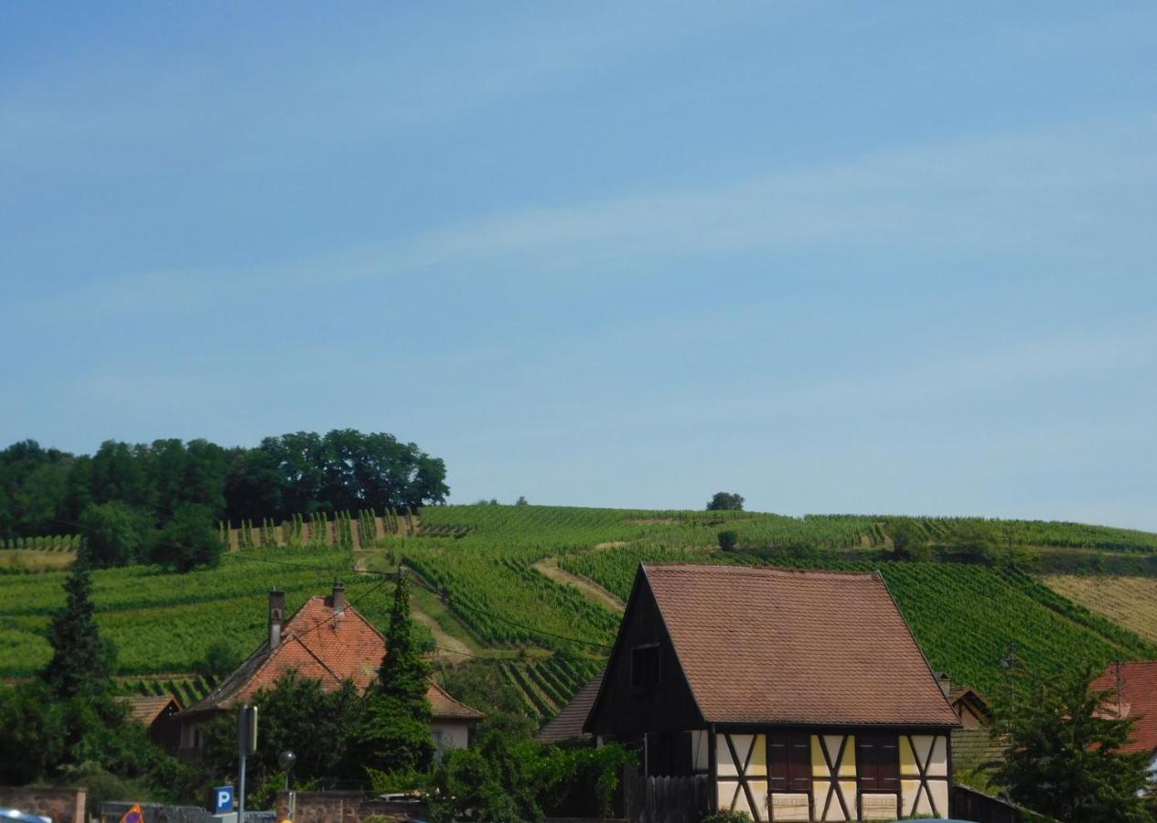 リクヴィールGewurztraminer - Studio Au Pied Du Vignoble - Renove Recemment - Parking Gratuitアパートメント エクステリア 写真