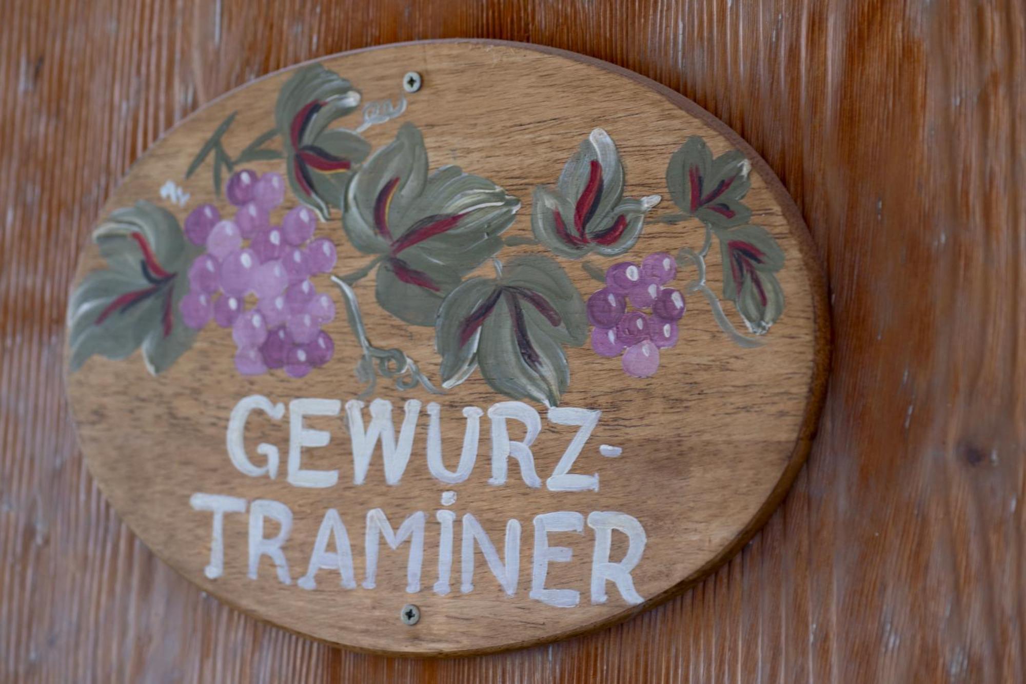 Gewurztraminer - Studio Au Pied Du Vignoble - Renove Recemment - Parking Gratuit リクヴィール エクステリア 写真
